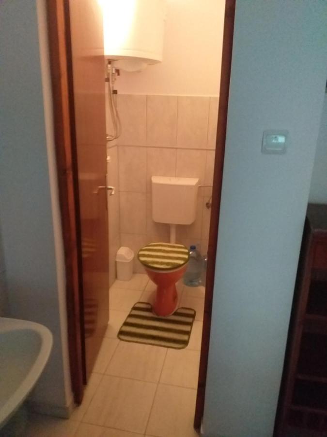 Kaktus Villa Szőlőshegy Kültér fotó
