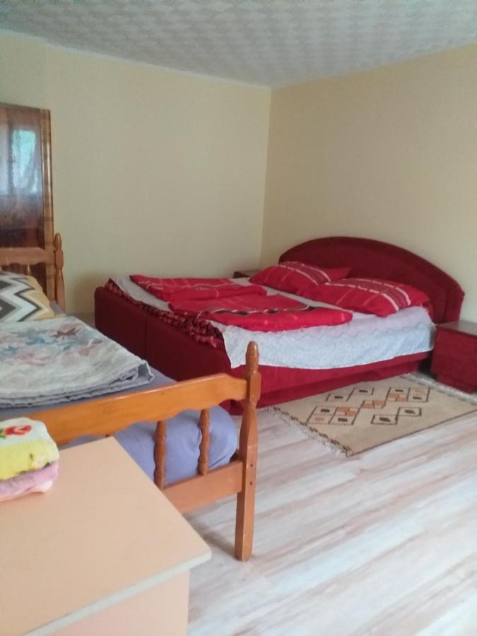 Kaktus Villa Szőlőshegy Kültér fotó