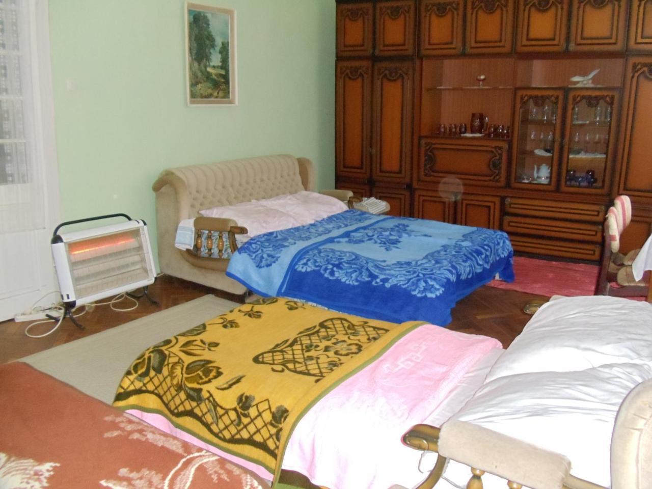 Kaktus Villa Szőlőshegy Kültér fotó