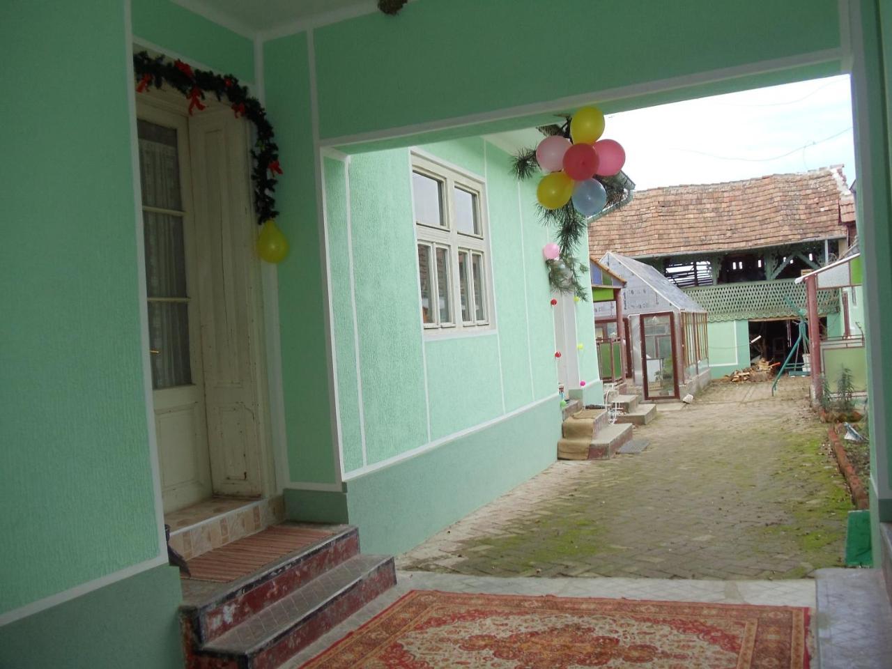 Kaktus Villa Szőlőshegy Kültér fotó