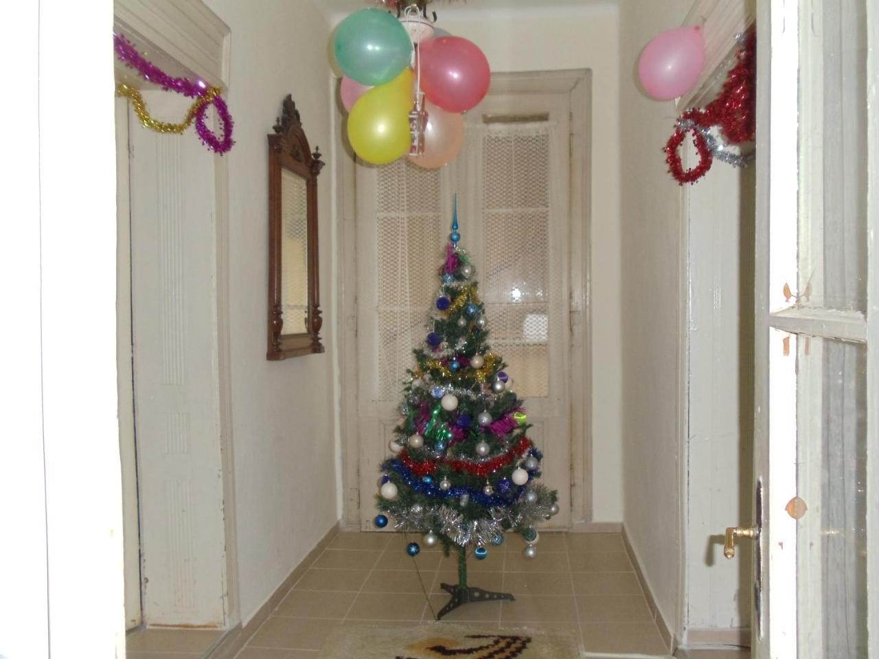 Kaktus Villa Szőlőshegy Kültér fotó