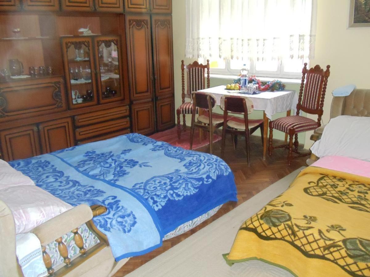 Kaktus Villa Szőlőshegy Kültér fotó